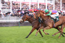 Race 4 - Dalton (13)