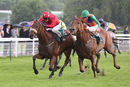Race 4 - Dalton (8)