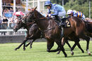 Race 4 - Danzeno (10)