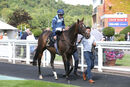 Race 4 - Danzeno (2)