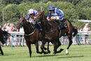 Race 4 - Danzeno (4)