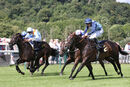 Race 4 - Danzeno (7)