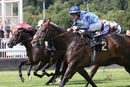 Race 4 - Danzeno (9)