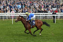 Race 4 - Desert Crown (4)