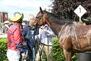 Race 4 - Diamond Rose (10)