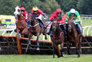 Race 4 - Diamond Rose (3)