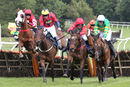 Race 4 - Diamond Rose (4)
