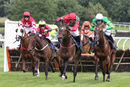 Race 4 - Diamond Rose (5)