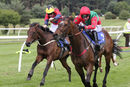 Race 4 - Diamond Rose (7)
