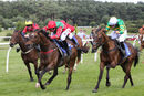 Race 4 - Diamond Rose (8)
