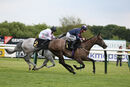 Race 4 - Dont Tell Claire (14)
