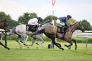 Race 4 - Dont Tell Claire (18)