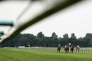 Race 4 - Dont Tell Claire (2)
