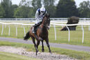 Race 4 - Dorrells Pierji (2)