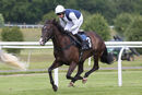 Race 4 - Dorrells Pierji (6)