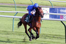 Race 4 - Dubai Souq (3)