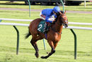 Race 4 - Dubai Souq (4)