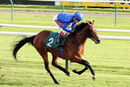 Race 4 - Dubai Souq (5)