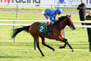 Race 4 - Dubai Souq (7)
