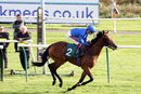 Race 4 - Dubai Souq (8)