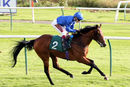 Race 4 - Dubai Souq (9)