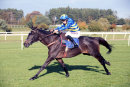 Race 4 - Dynamite Dollars (12)