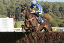 Race 4 - Dynamite Dollars (4)