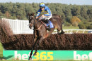 Race 4 - Dynamite Dollars (5)