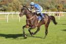 Race 4 - Dynamite Dollars (9)