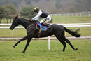 Race 4 - Earlofthecotswolds (7)