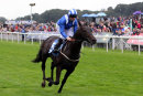 Race 4 - Elarqam (7)