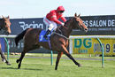 Race 4 - Elegiac (10)