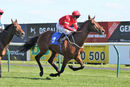 Race 4 - Elegiac (11)