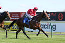Race 4 - Elegiac (12)