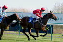 Race 4 - Elegiac (13)