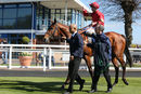 Race 4 - Elegiac (15)