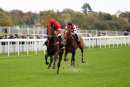 Race 4 - Elegiac (1)