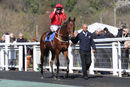 Race 4 - Elegiac (4)