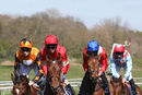 Race 4 - Elegiac (5)