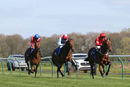 Race 4 - Elegiac (7)