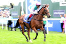 Race 4 - Enable (4)