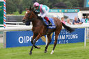 Race 4 - Enable (8)