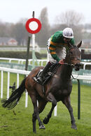 Race 4 - Epatante (4)