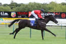 Race 4 - Existential (3)