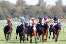 Race 4 - Fantasy Keeper (10)