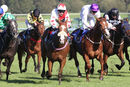 Race 4 - Fantasy Keeper (13)