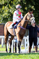 Race 4 - Fantasy Keeper (2)