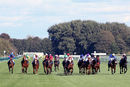 Nottingham Races (2 Oct 19)
