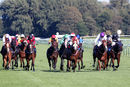 Race 4 - Fantasy Keeper (6)