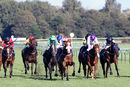 Race 4 - Fantasy Keeper (8)